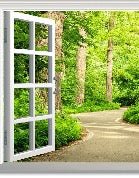 Papier peint trompe l’œil balade en forêt, XXL, tendance