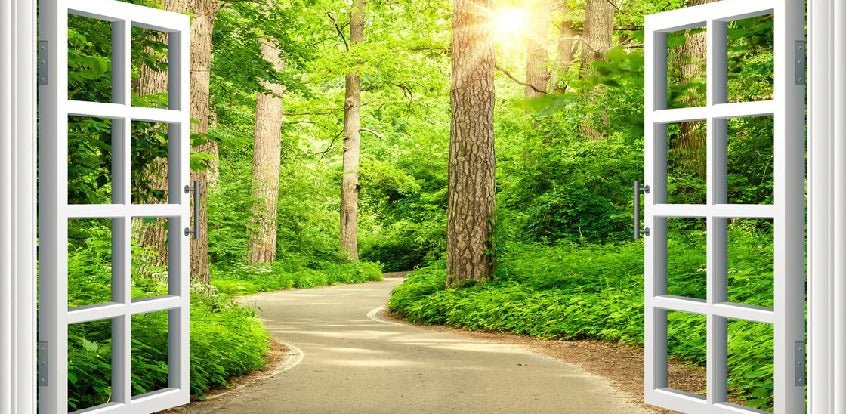 Papier peint trompe l’œil balade en forêt, XXL, tendance