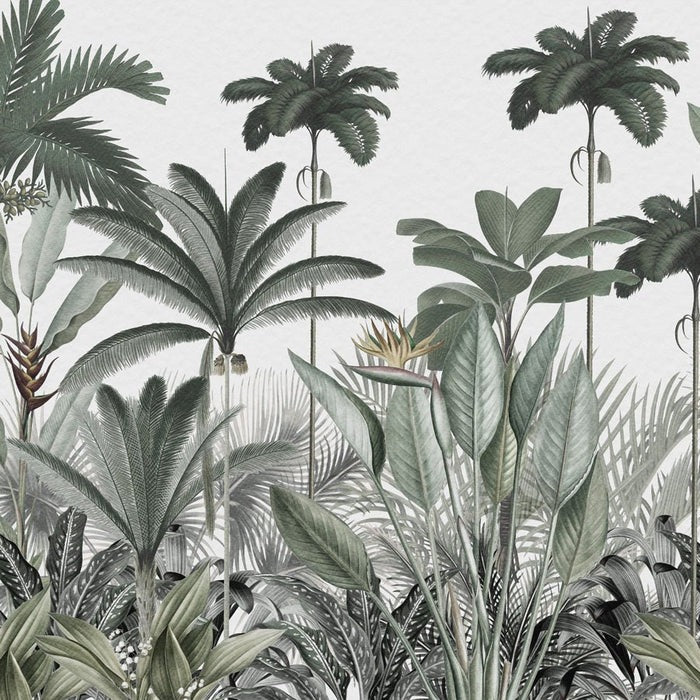 Panoramic jungle tree wallpaper