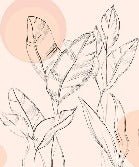 Papier peint gracieuse flore, XXL, tendance