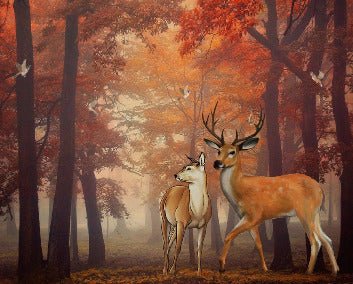 Papel pintado Bosque otoñal y ciervos