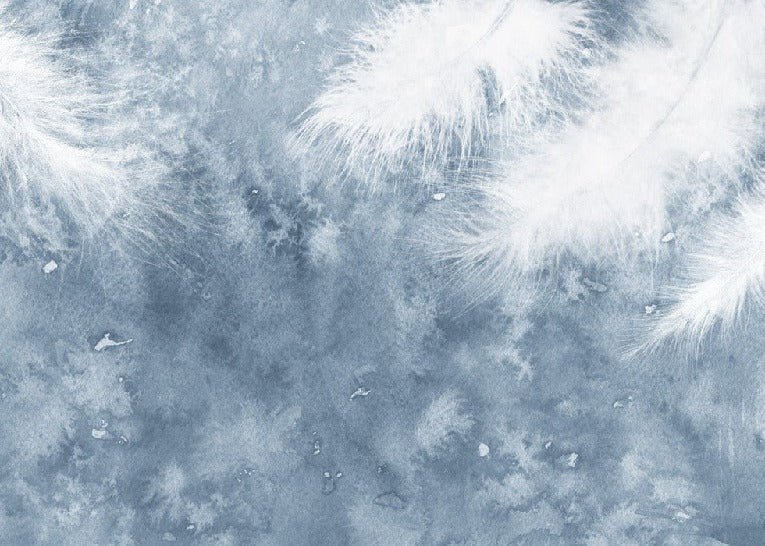 Papier peint Plume Blanche, XXL, tendance