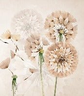 Papier peint fleur pissenlit