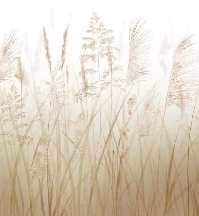 Papier peint fleur des champs de blé, XXL, tendance