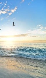 Papier peint Plage Paradisiaque, XXL, tendance