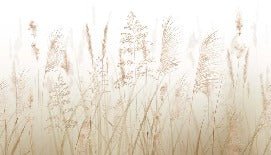 Carta da parati con fiori di campo di grano