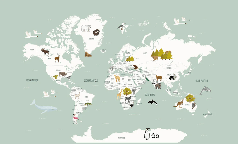 Papier peint Carte du monde en Francais enfant vert - Muralconcept