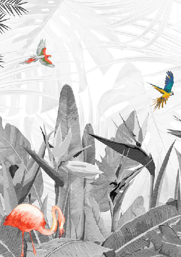 Black and white bird of paradise wallpaper