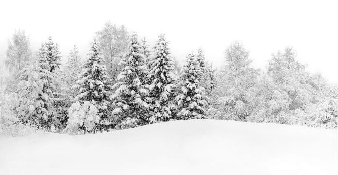 Papier peint panoramique évasion hivernale - Muralconcept