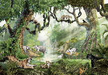 Papier peint enfant jungle secrète - Muralconcept