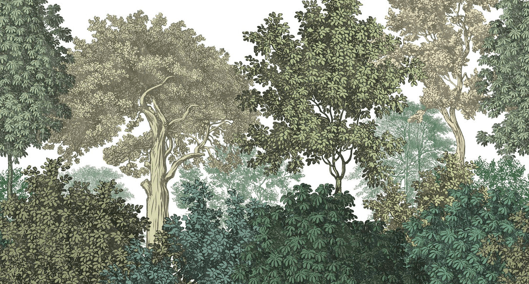 Papier peint paysage forêt gravure - Muralconcept