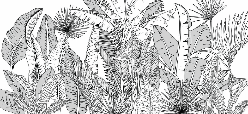 Papier peint salle de bain noir et blanc botanic leaf - Muralconcept