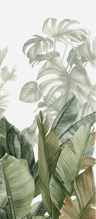 Papier peint panoramique bananier vert - Muralconcept