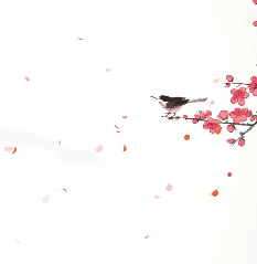 Papier peint harmonie zen sakura - Muralconcept