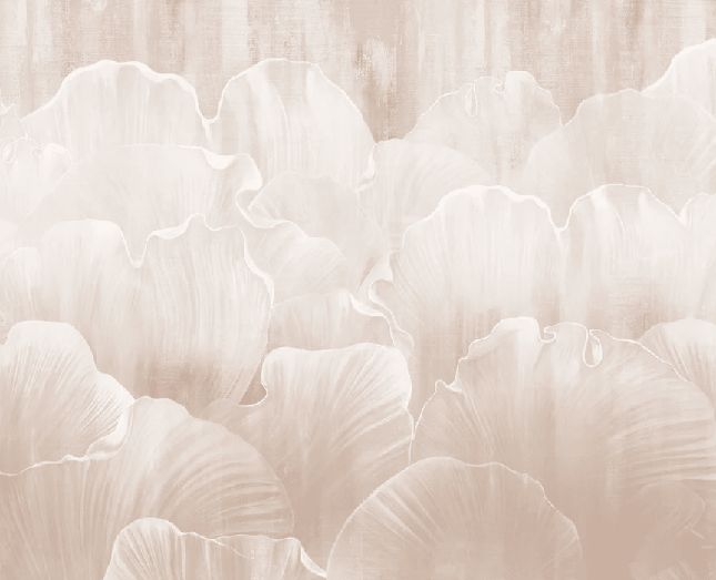 Papier peint pétales  - Floral moderne - Muralconcept