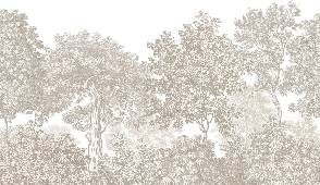 Papier peint paysage forêt gravure beige