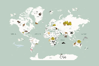 Papier peint Carte du monde en Francais enfant vert - Muralconcept