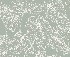 Papier peint feuille monstera sauge - Muralconcept