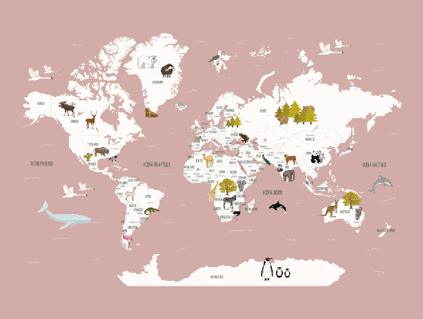 Papier peint Carte du monde en Francais enfant vieux rose - Muralconcept