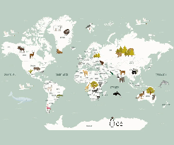 Papier peint Carte du monde en Francais enfant vert - Muralconcept