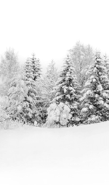 Papier peint panoramique évasion hivernale - Muralconcept
