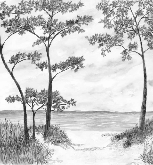 Papier peint Pins maritimes et dunes - Noir et blanc - Muralconcept