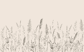 Papier peint panoramique prairie sauvage - Muralconcept