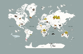 Wallpaper World Map in French for Children, Gray