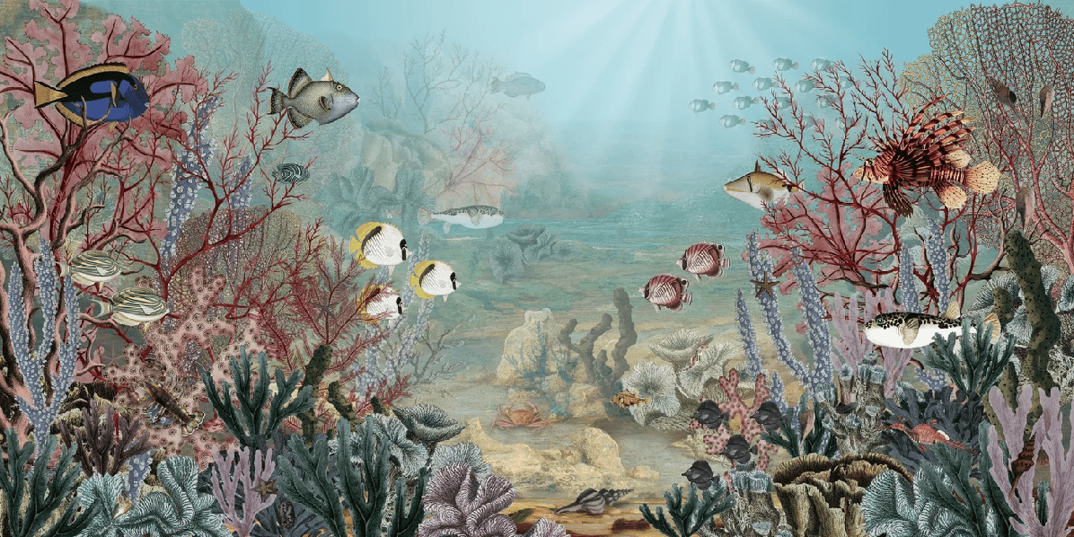 Papier peint vie sous la mer