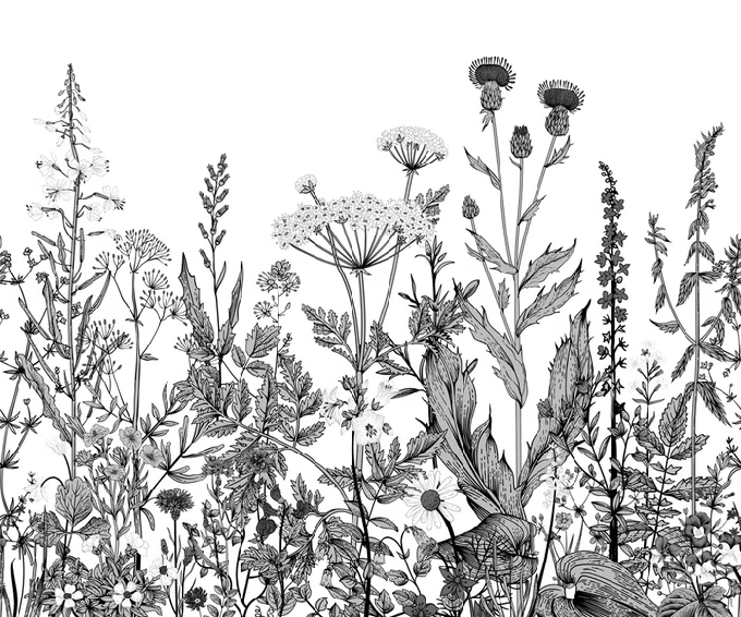 Papier peint botanique folk noir et blanc - Muralconcept