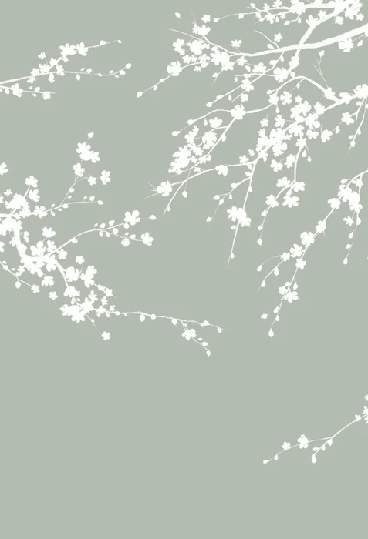 Papier peint panoramique Sakura vert sauge - Muralconcept
