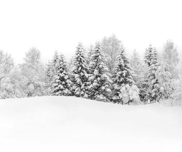 Papier peint panoramique évasion hivernale - Muralconcept