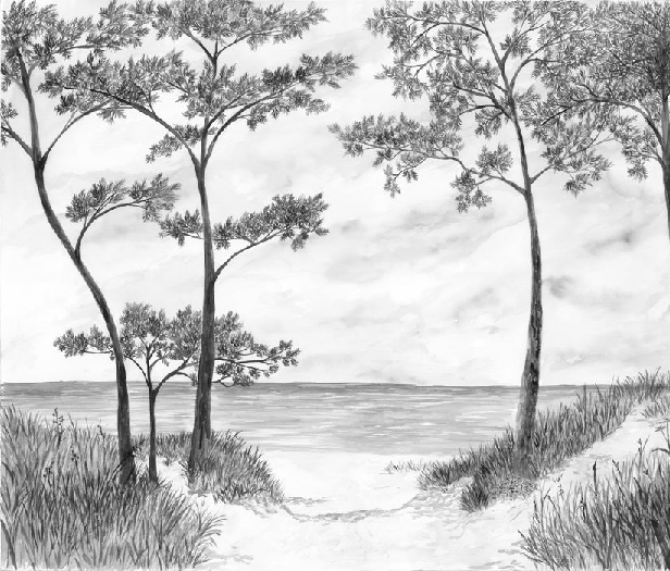 Papier peint Pins maritimes et dunes - Noir et blanc - Muralconcept