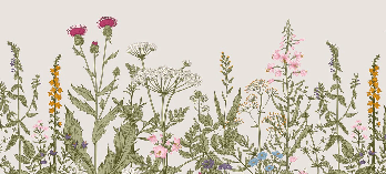 Romantic folk botanical flower wallpaper
