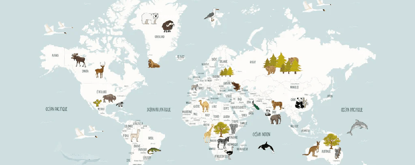 Wallpaper World Map in French for Children, Glacier Blue