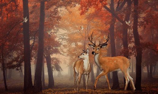 Papier peint Forêt couleur d'automne & Cerfs