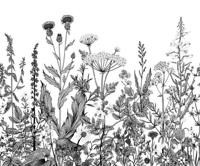 Papier peint botanique folk noir et blanc - Muralconcept