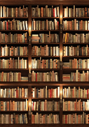 Papier peint trompe l'oeil Authentique Bibliothèque - Muralconcept