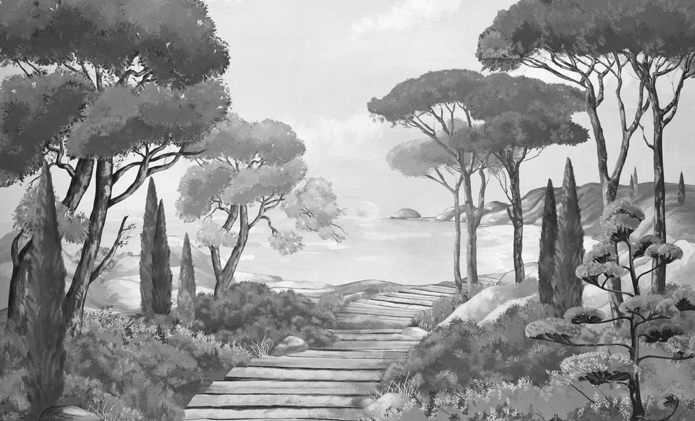 Papier peint balade dans les calanques noir et blanc - Muralconcept