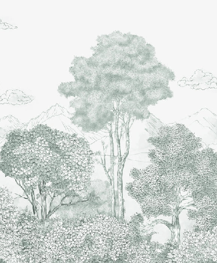 Papier peint panoramique Forêts et Monts vert - Muralconcept