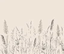 Papier peint panoramique prairie sauvage