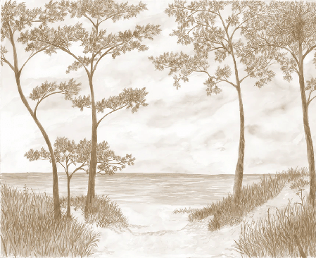 Papier peint Pins maritimes et dunes - Sépia - Muralconcept
