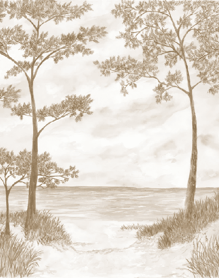 Papier peint Pins maritimes et dunes - Sépia - Muralconcept