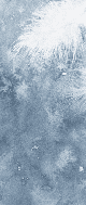 Papier peint salle de bain Plume Blanche - Muralconcept