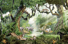 Papier peint enfant jungle secrète - Muralconcept