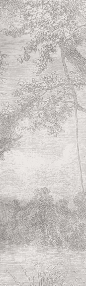 Papier peint panoramique paysage de campagne - Muralconcept
