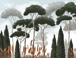 Papier peint sur mesure cyprès pins et herbes de la pampa, XXL, tendance