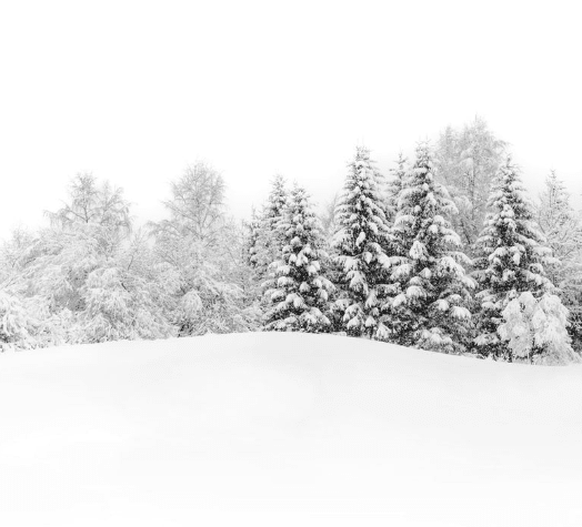 Papier peint panoramique évasion hivernale - Muralconcept