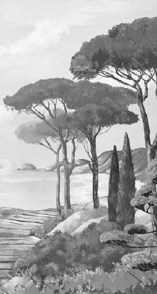 Papier peint balade dans les calanques noir et blanc - Muralconcept