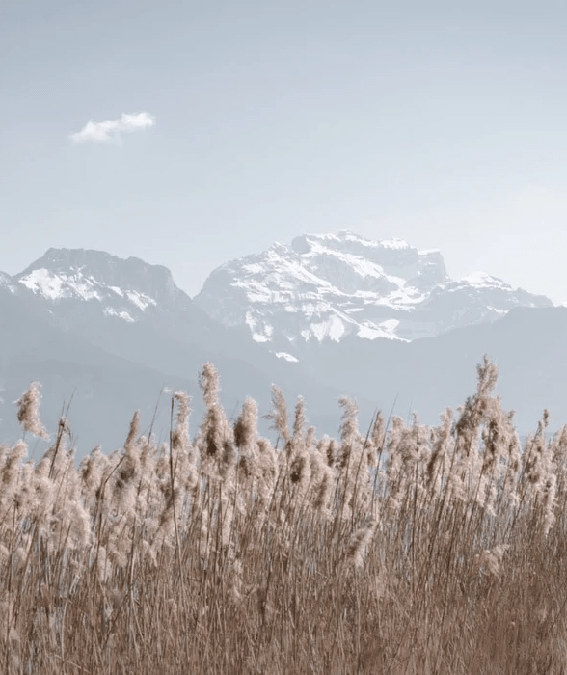 Papier peint photo - Dents de Lanfon & Tournette - Muralconcept